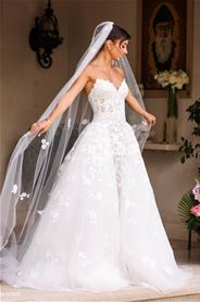 01-2025/Products-Pic-t30791021-IMG_7866.JPG