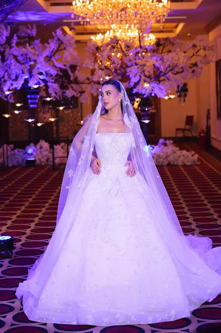 “ PURITY”- LONG - STRAPLESS - ALINE (with veil)