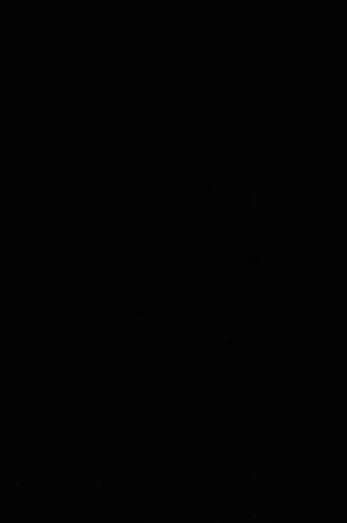11-2020/Product-Media-PicL-2388-637401775214241145.jpeg