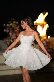 12-2024/Products-Pic-t86247964-DSC00448.JPG