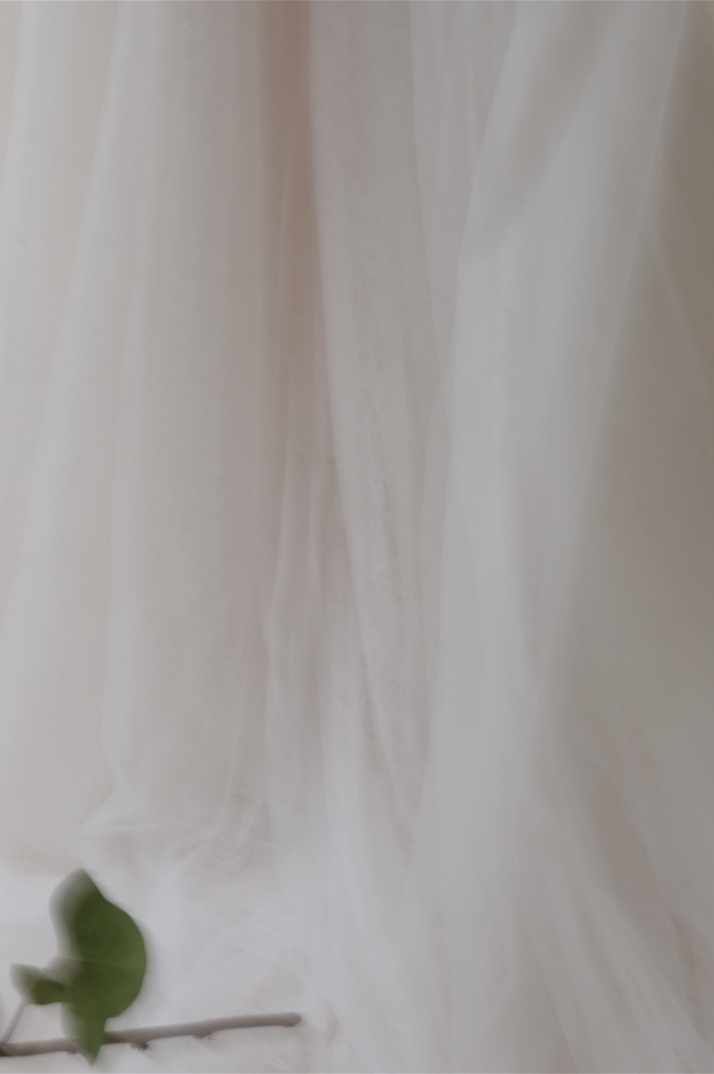 Products-PicR-13865401-IMG_4574.png